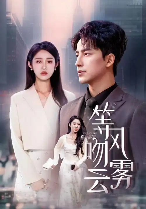 九九影视热播悬疑剧《雾港暗涌》剧集海报